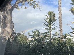 134-27-12-2025 IMG_6476